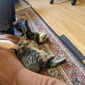 Meet your Posher, Ruby